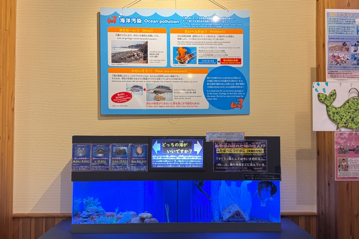 從日本海到柯南故鄉｜鳥取 7 大人氣景點完整串遊