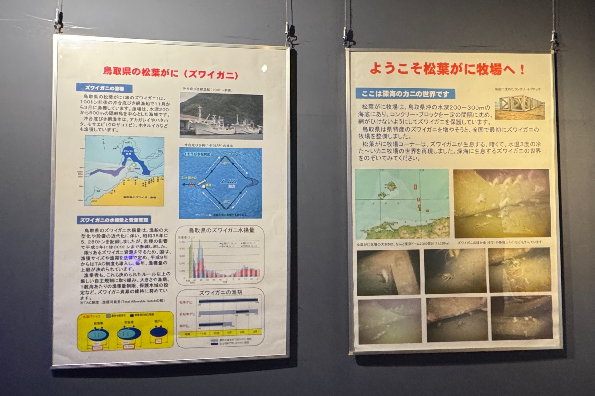 從日本海到柯南故鄉｜鳥取 7 大人氣景點完整串遊