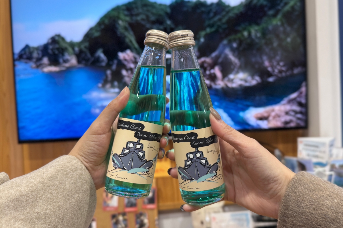 從日本海到柯南故鄉｜鳥取 7 大人氣景點完整串遊