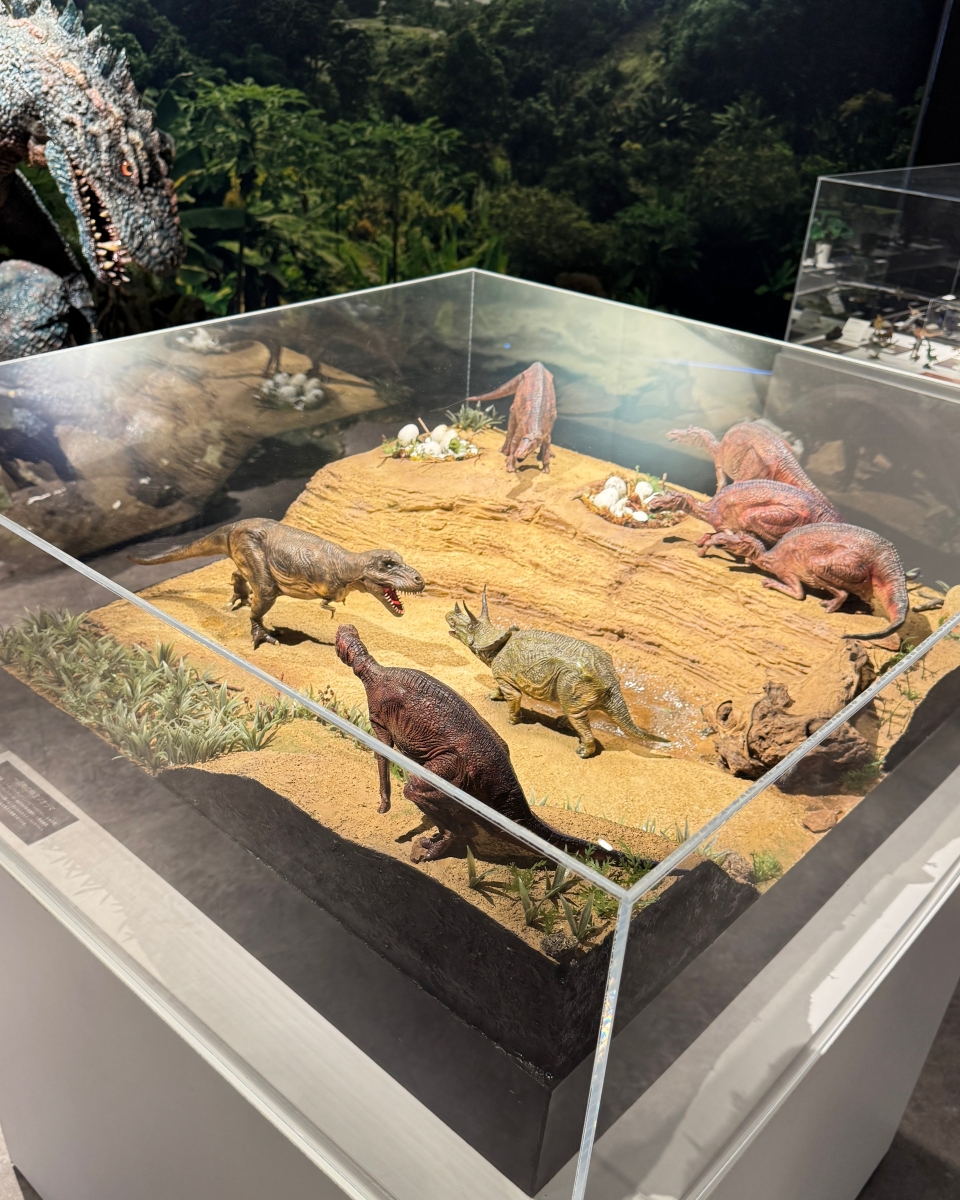 從日本海到柯南故鄉｜鳥取 7 大人氣景點完整串遊