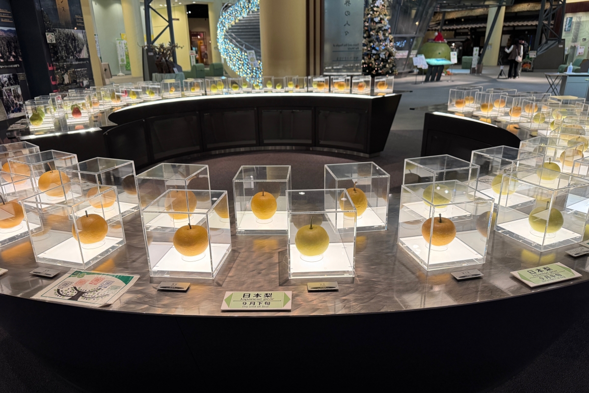 從日本海到柯南故鄉｜鳥取 7 大人氣景點完整串遊