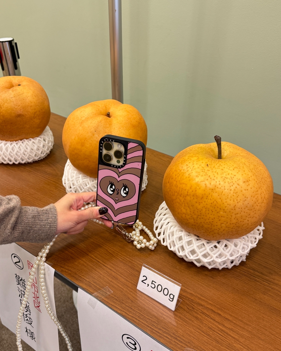 從日本海到柯南故鄉｜鳥取 7 大人氣景點完整串遊