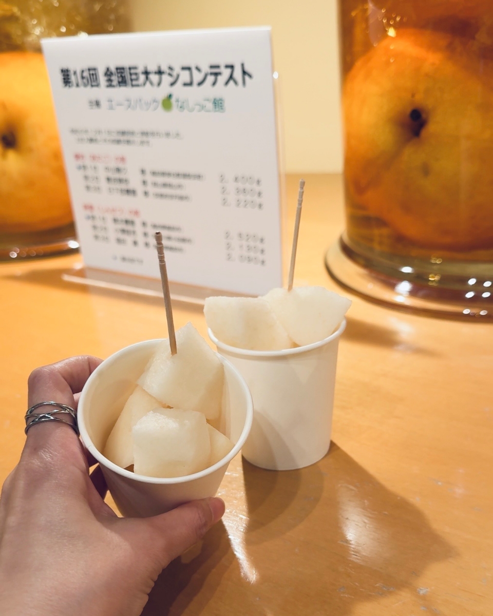 從日本海到柯南故鄉｜鳥取 7 大人氣景點完整串遊